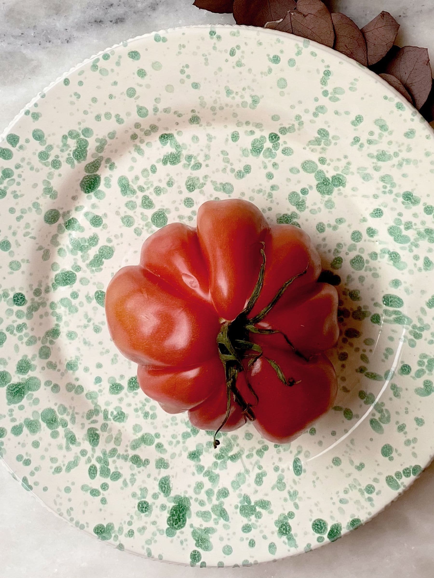 Hot Pottery Set of 4 Splatter Dinner Plates