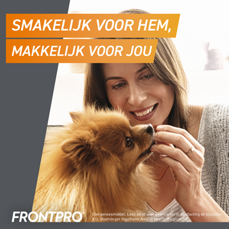 FRONTPRO Kauwtabletten Hond