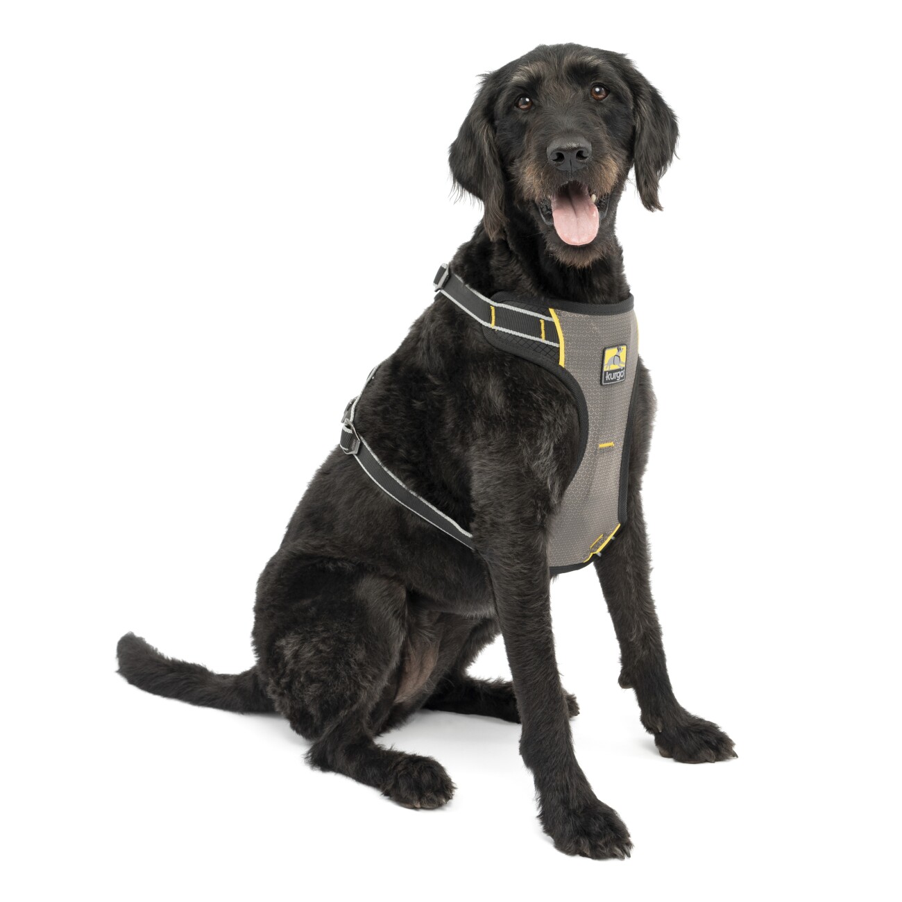 Kurgo Impact Hunde-Autogeschirr