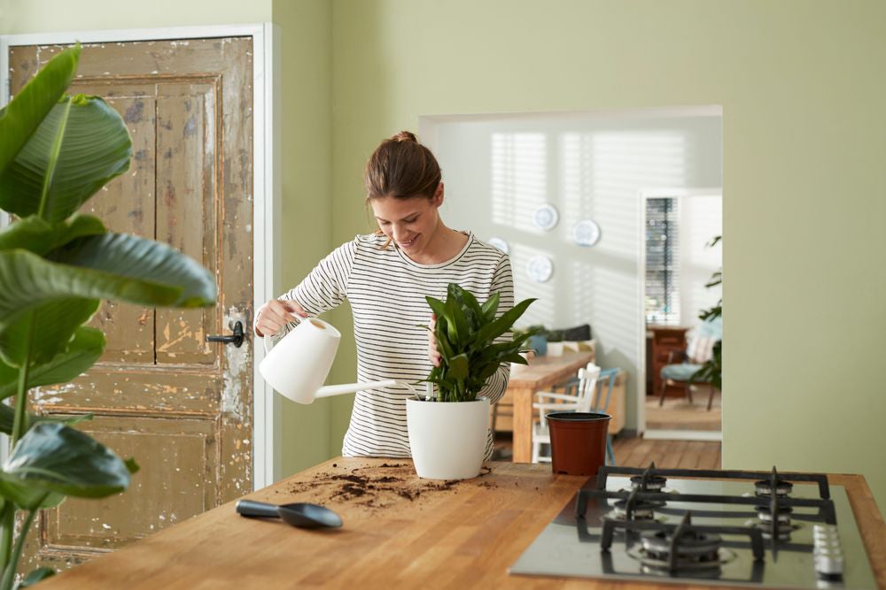Elho plantcontainer Self-watering Insert zwart D 27,7 H 25,5 cm