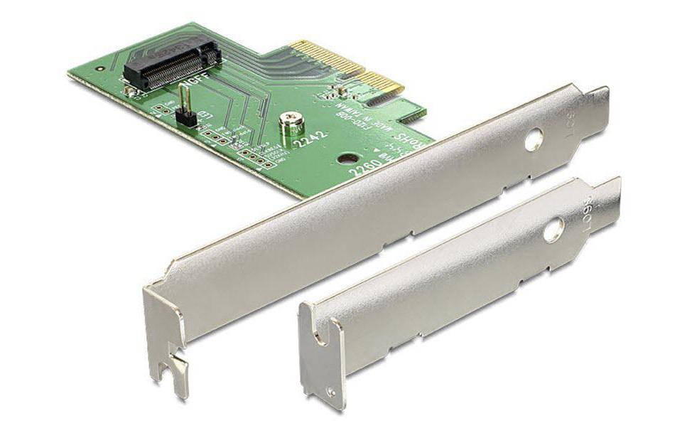 Host Bus Adapter Controller PCI-Ex4 - M.2 NVME, 1PortDelock PCI Express x4 Karte > 1 x intern NVMe M.2 Key M 80 mm – Low Profile Form Faktor