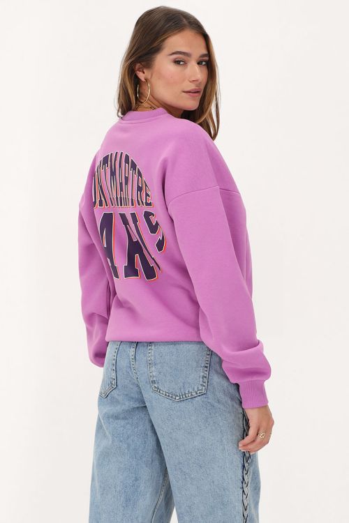 Paarse sweater 