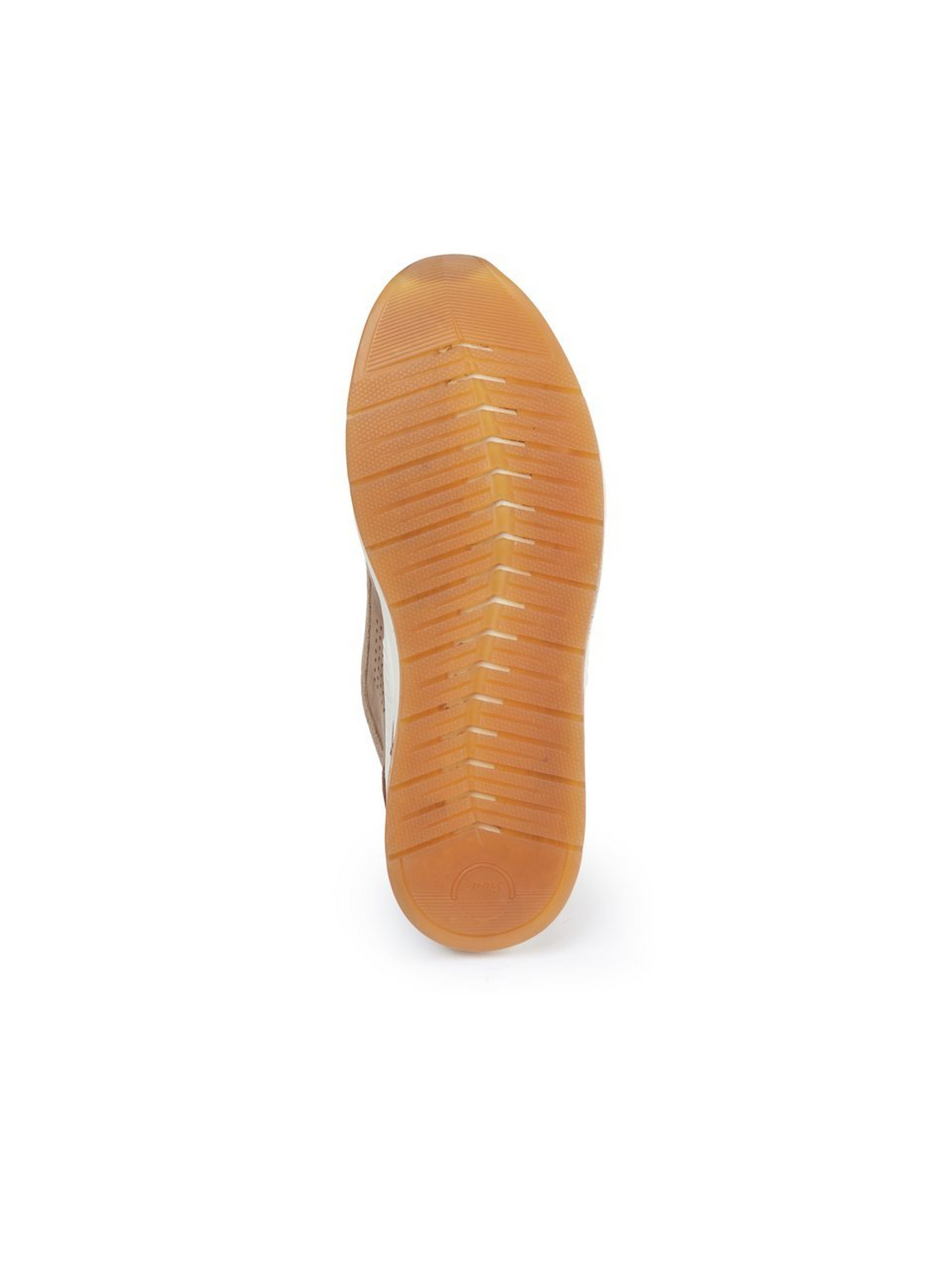 Sneaker Turibio