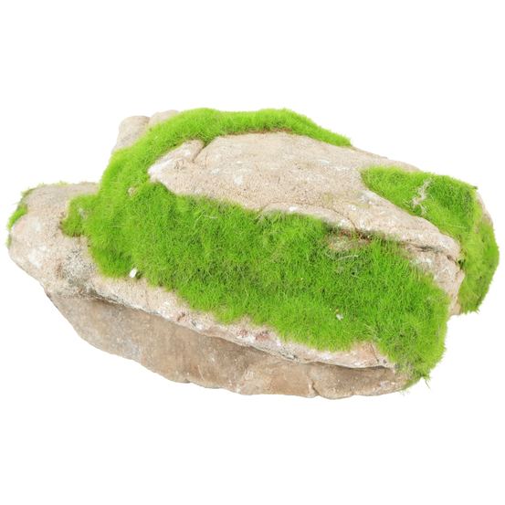 Pierre Grey Stone Kipouss pour aquarium taille M