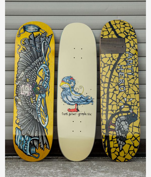 Anti Hero Team Pigeon Vision 8.5