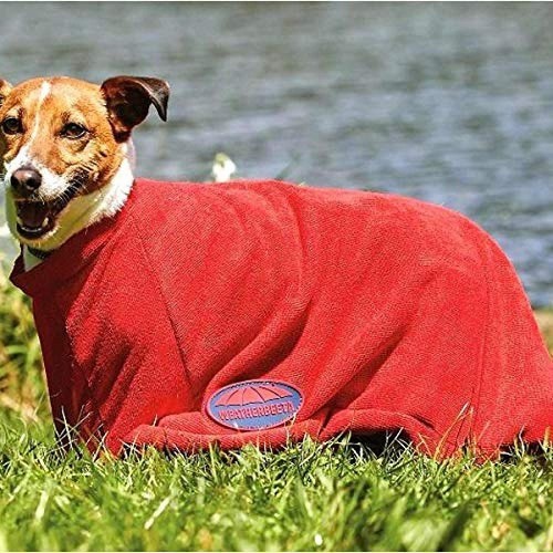 Toalha vermelha para cachorro