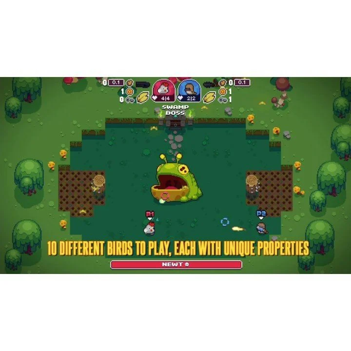 Blazing Beaks- Nintendo Switch
