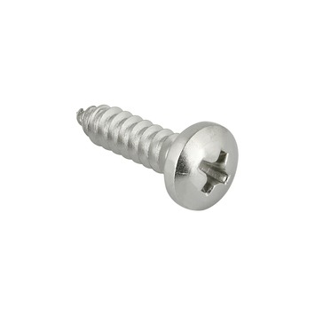 Carroserie schroef cilinderkop verzinkt 5,5X19 mm 20 stuks