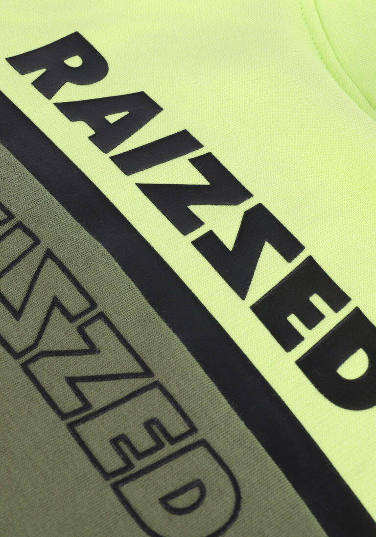 RAIZZED groene raizzed trui walker