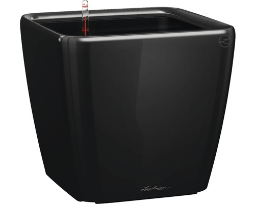 Lechuza Quadro plantenbak 21 x 21 x H 20 cm zwart incl. zelfbewateringssysteem, plantenbak, substraat en waterniveau-indicator