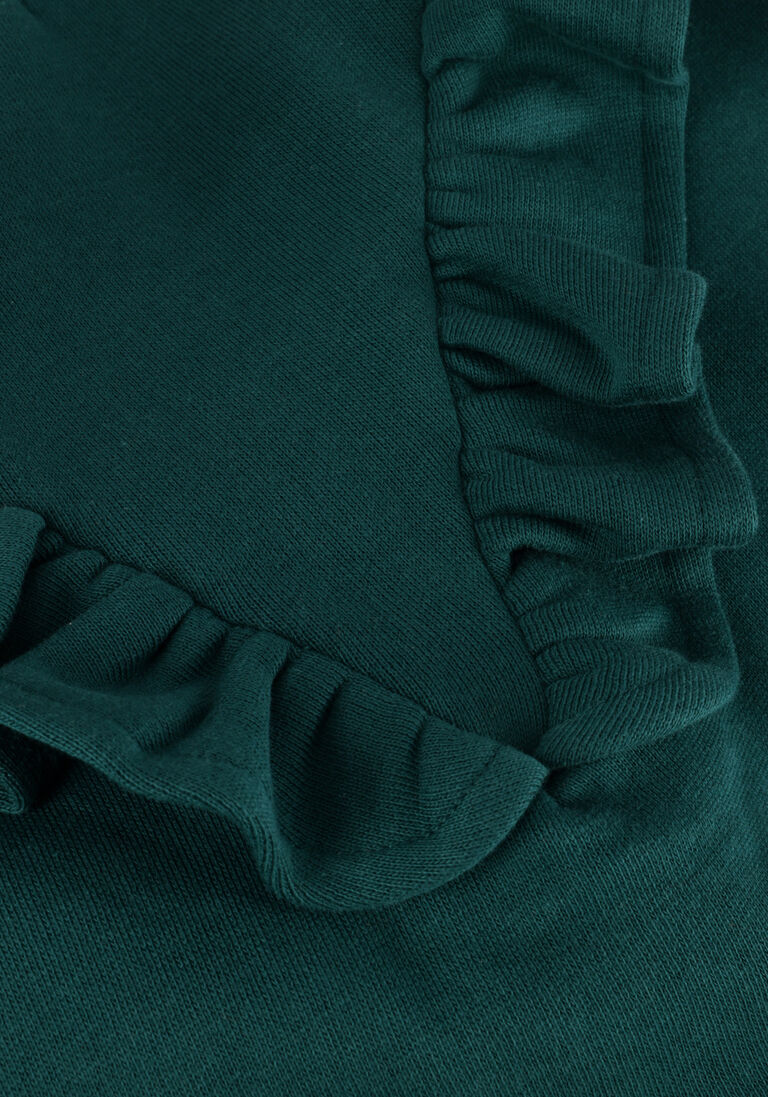 AMMEHOELA groene ammehoela sweater am.philou.21