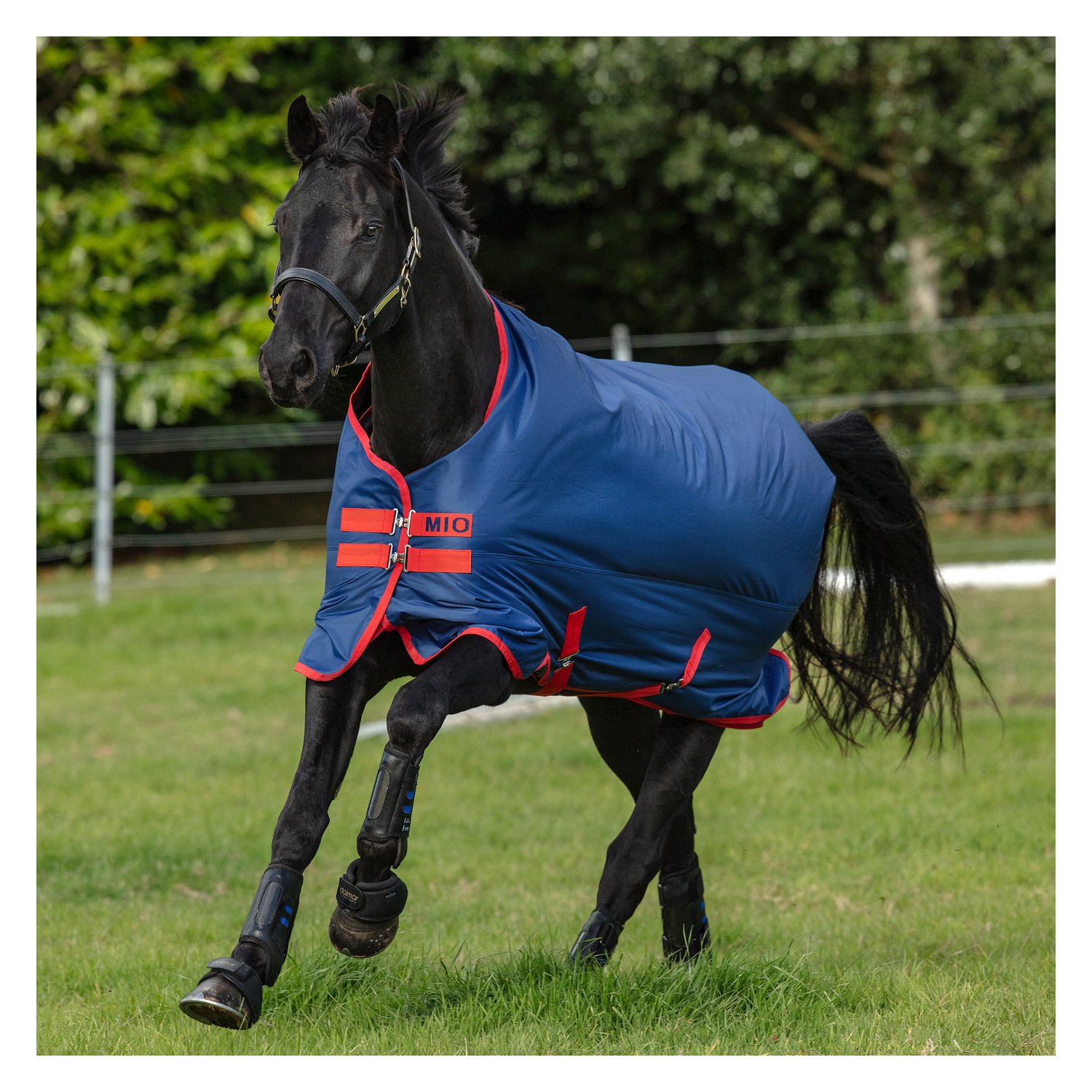 Horseware Outdoordecke MIO Medium Turnout - darkblue/darkblue & red