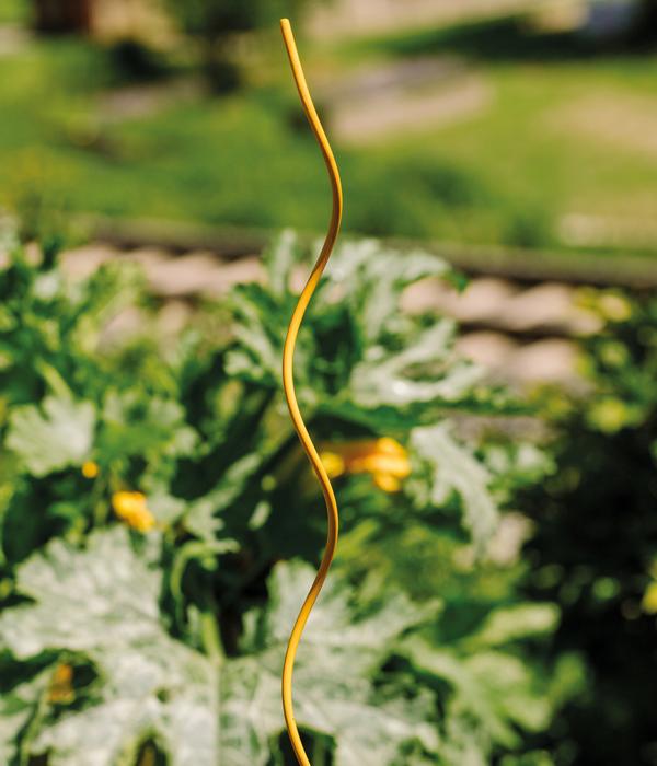 bellissa Stahl-Tomatenspirale Colorata