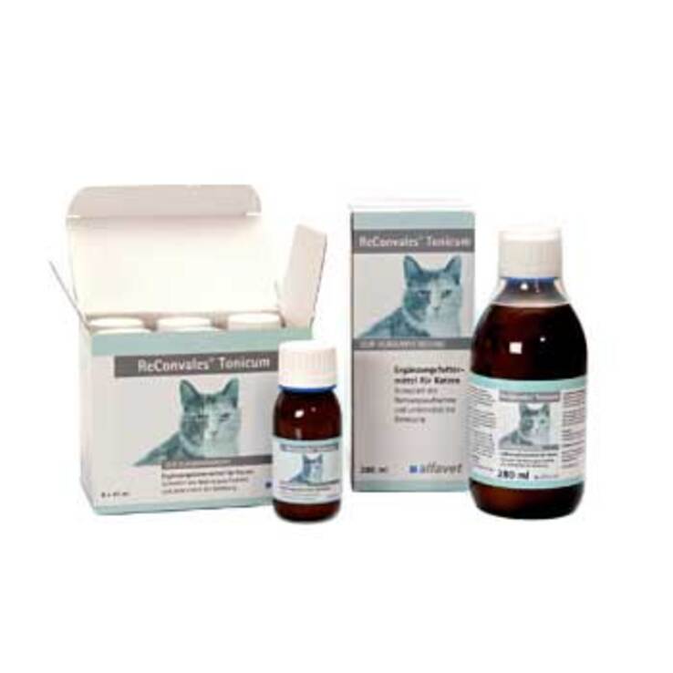 Reconvales Tonicum für Katzen, 1X280 ml