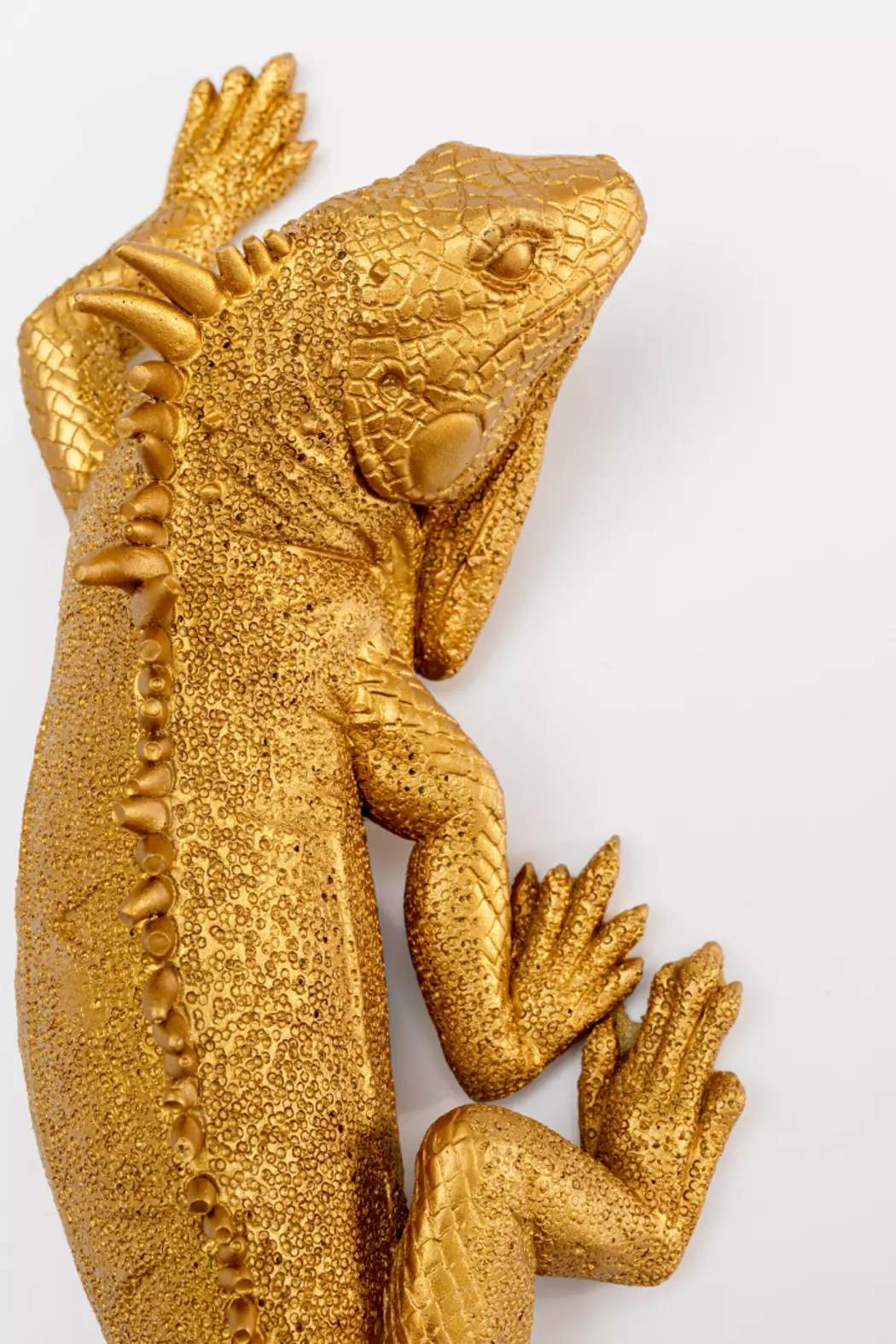 Wandobjekt Lizard 11,2 x 30,5 cm
