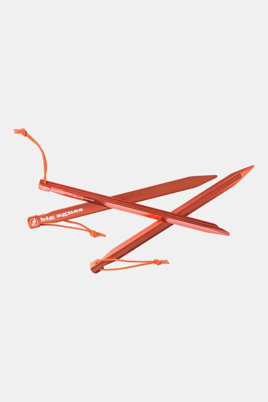 Big Agnes Big Agnes Dirt Dagger UL 10