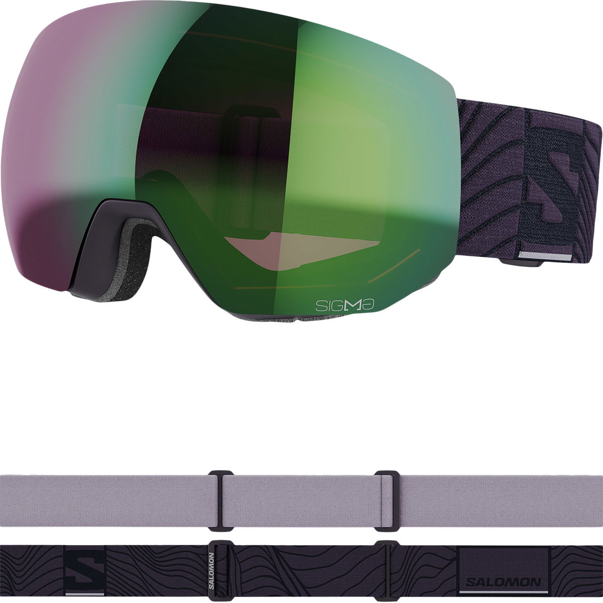 Salomon Radium Pro Sigma Skibriller