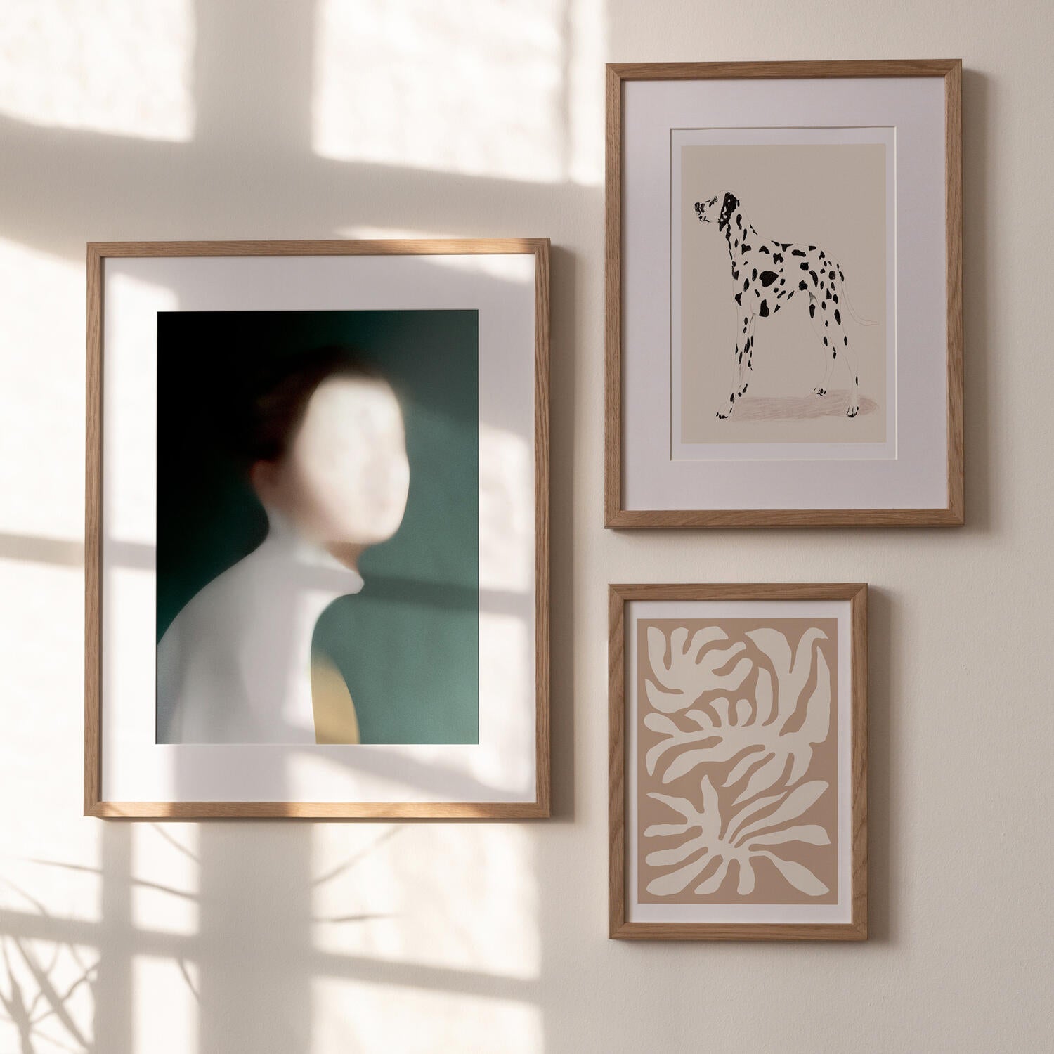Poster & Frame  Dalmation plakat - 50 x 70 cm