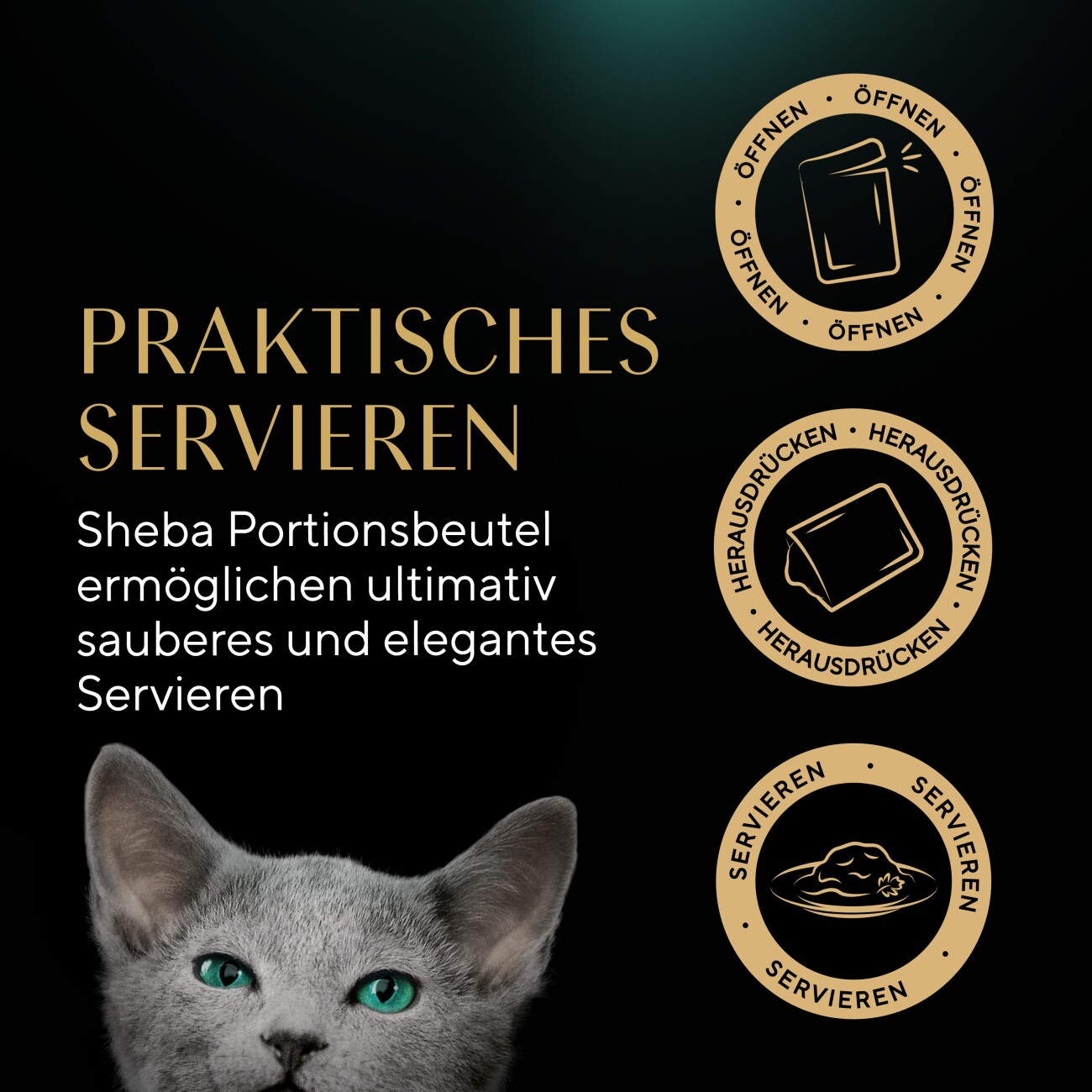 Sheba Multipack Kitten in Sauce Feine Vielfalt mit Lachs, mit Huhn MSC 12x85 g