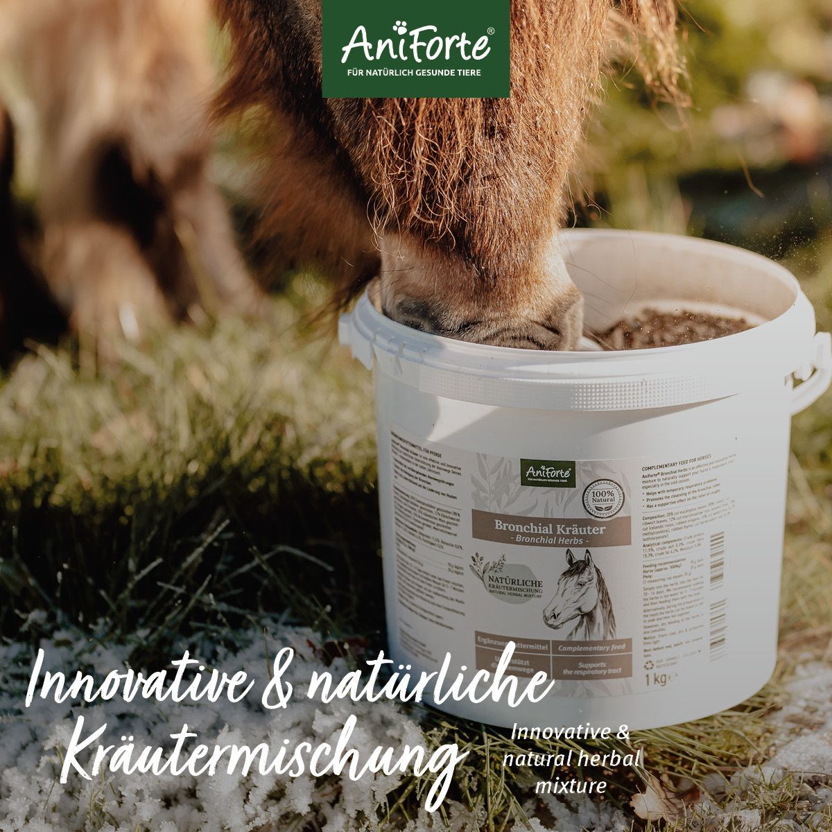 AniForte Bronchial Kräuter