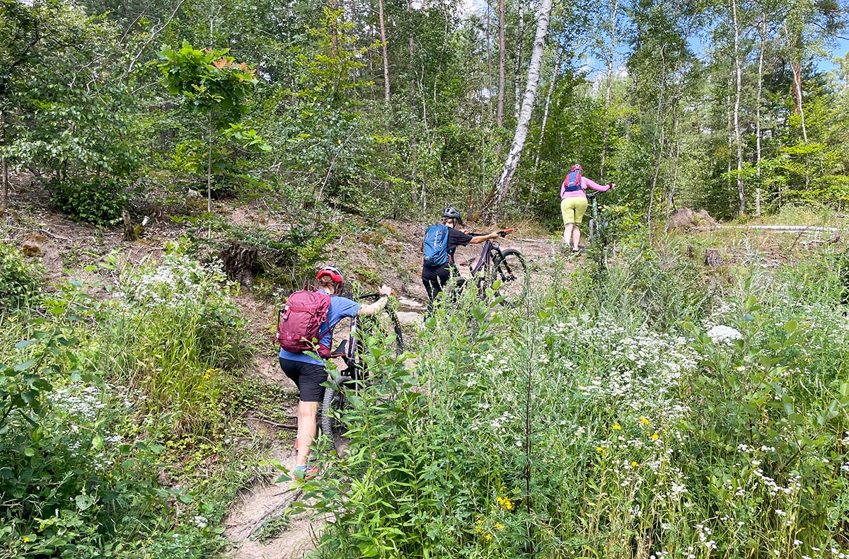 Mountainbike Kurs für Anfänger Erlangen