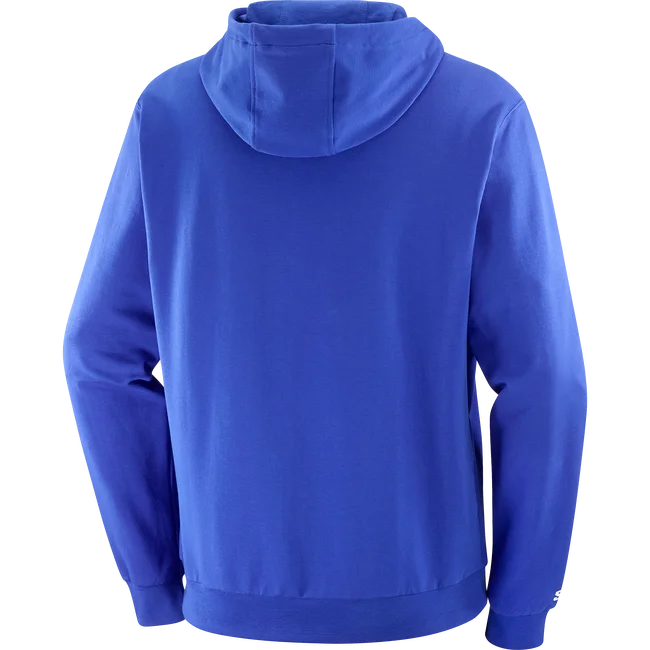 SALOMON LOGO PERFORMANCE  Sweatshirt à capuche pour homme