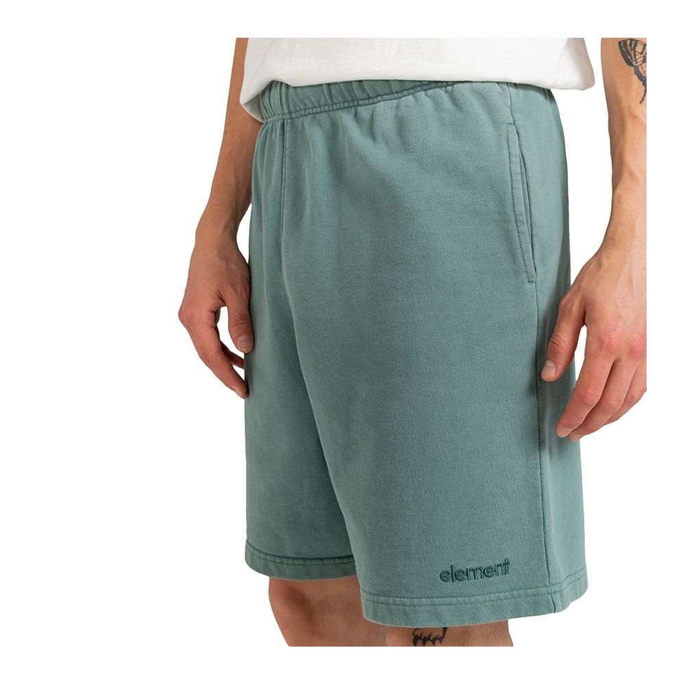 Element CORNELL 3.0 - Short Homme north atlantic