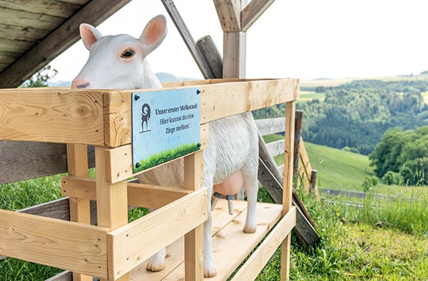 Hofführung mit Käseverkostung Lichtenegg