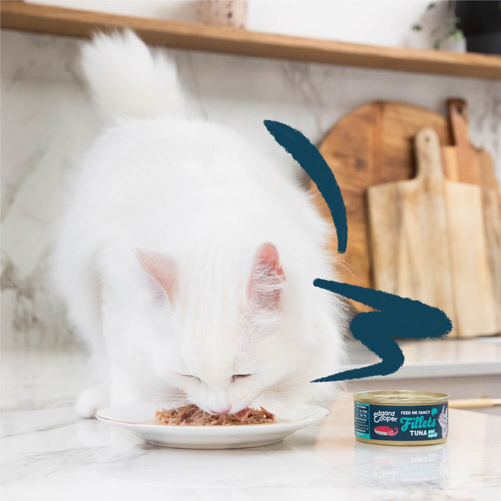 Edgard & Cooper Filets - Kattenvoer - 70 Gram - inktvis, tonijn