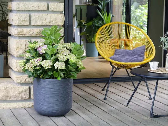 Pot de fleurs rond en plastique Graphit Up anthracite - Ø 50 cm - Eda