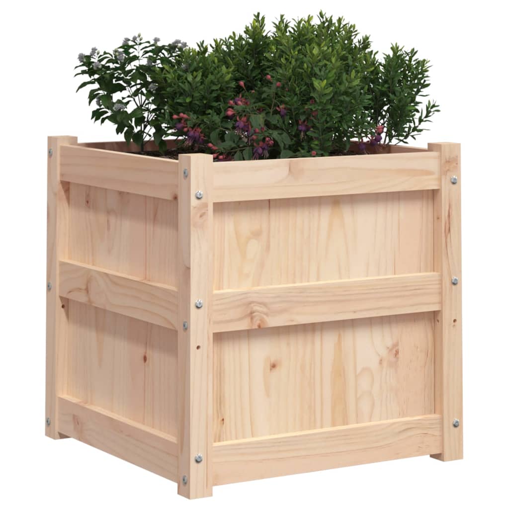 Jardinière 50x50x50 cm bois de pin massif