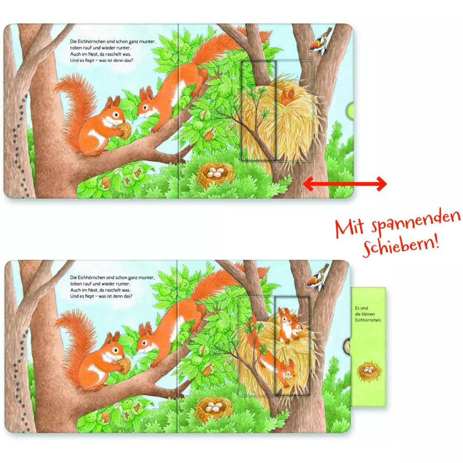 Ravensburger Wer hat sich hier versteckt? Suche die Waldtiere