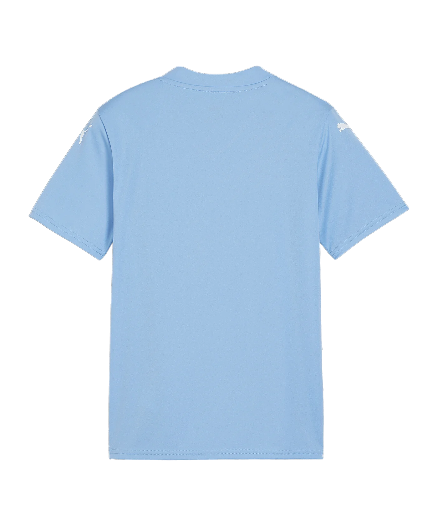 PUMA teamGLORY Trikot Kids Blau Weiss Blau F18