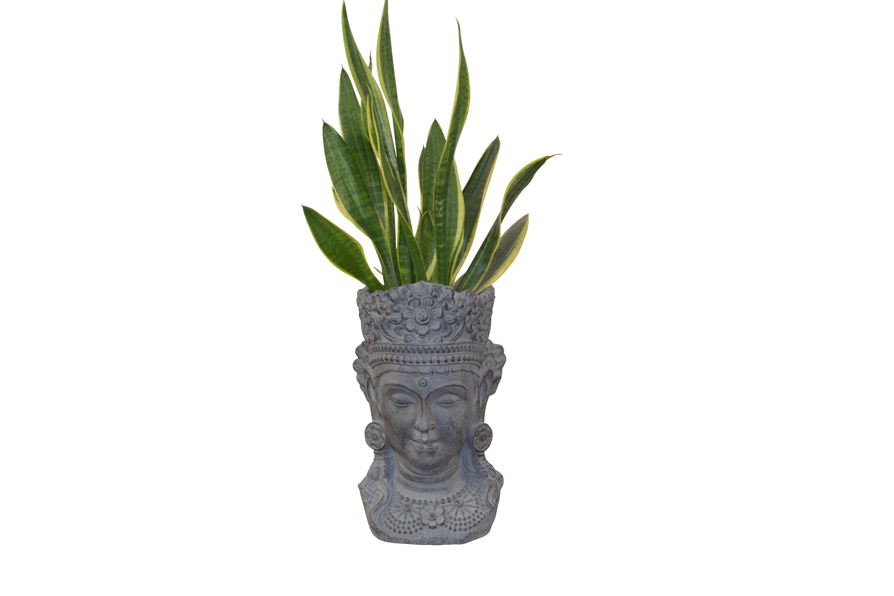 möbel direkt online Pflanzgefäß Buddhakopf