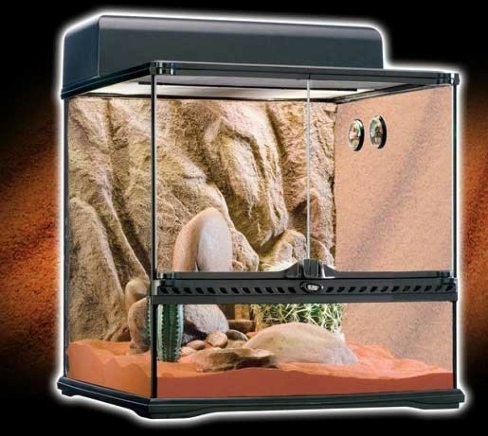 Exo terra habitat kit de désert 60l m. 45x45x45