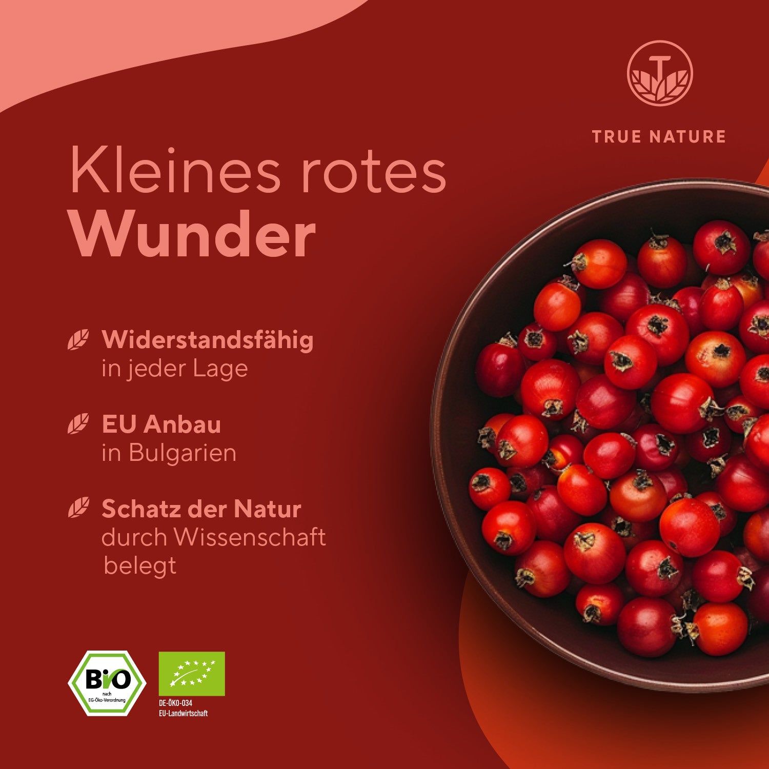 TRUE NATURE® Bio Hagebutte Kapseln - Europäischer Anbau