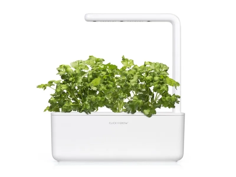 emsa substratkapsel CLICK&GROW KORIANDER SMART SOIL-teknologi, Indeholder frø af høj kvalitet, - 1 stk (M5261300)