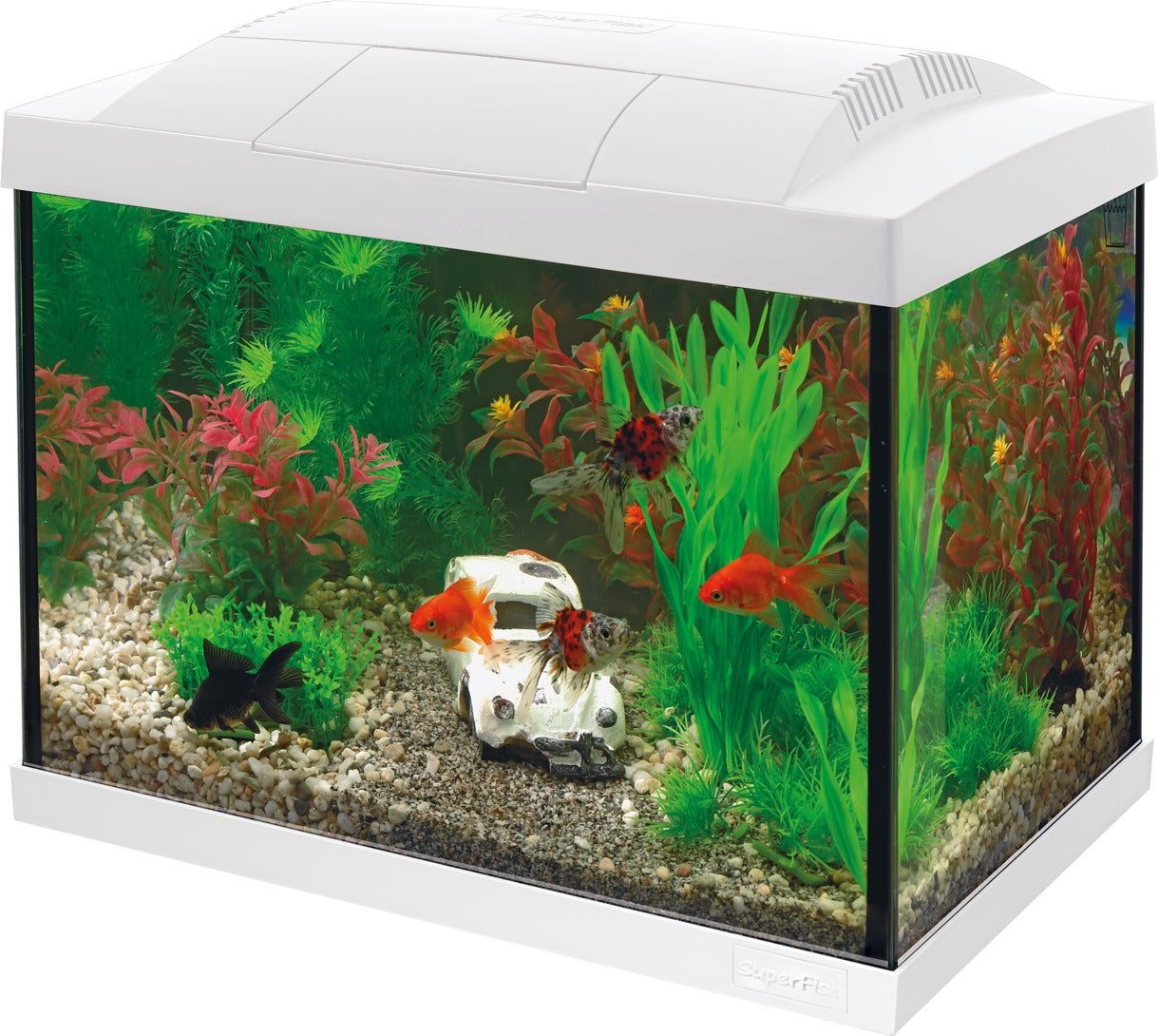 SuperFish aquarium Start 20 Goldfish Kit wit 20 L