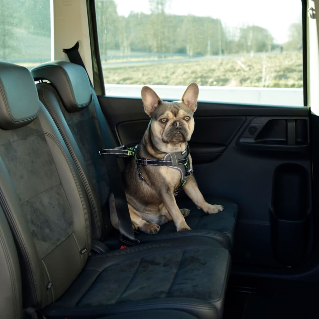 Arnês para carro para animais de estimação