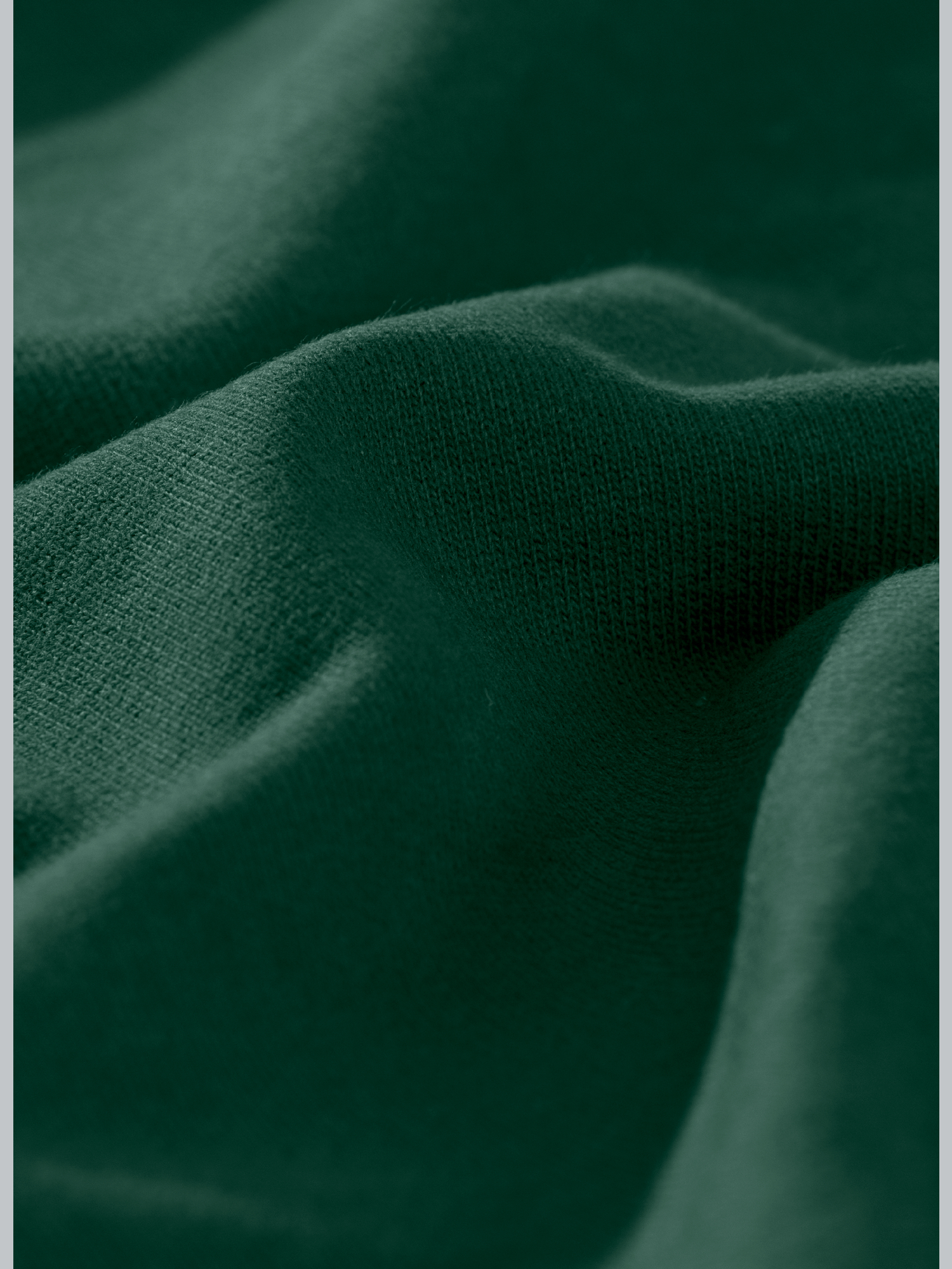 Sweatshirt aus Biobaumwolle Tanne