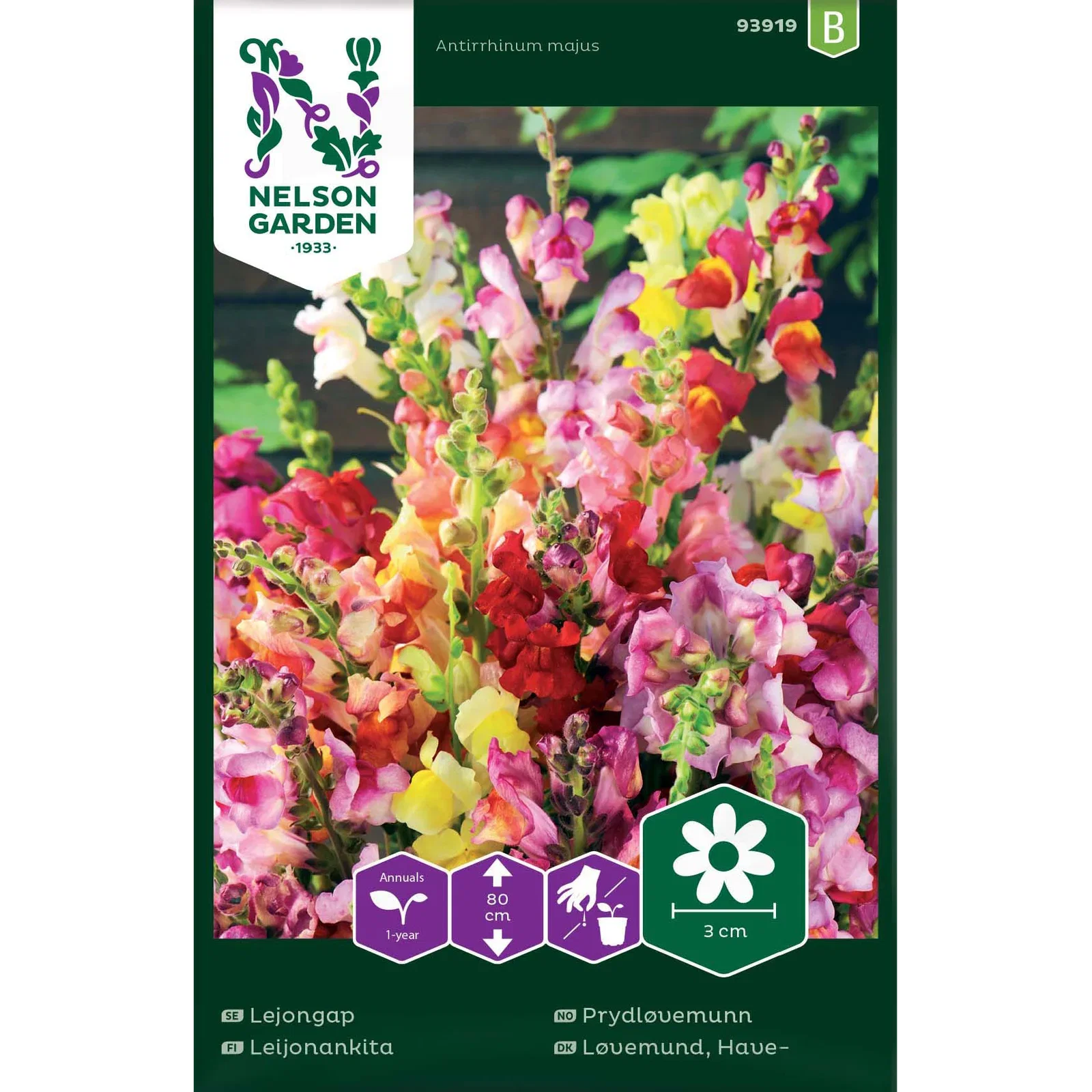 Antirrhinum majus Løvemunn