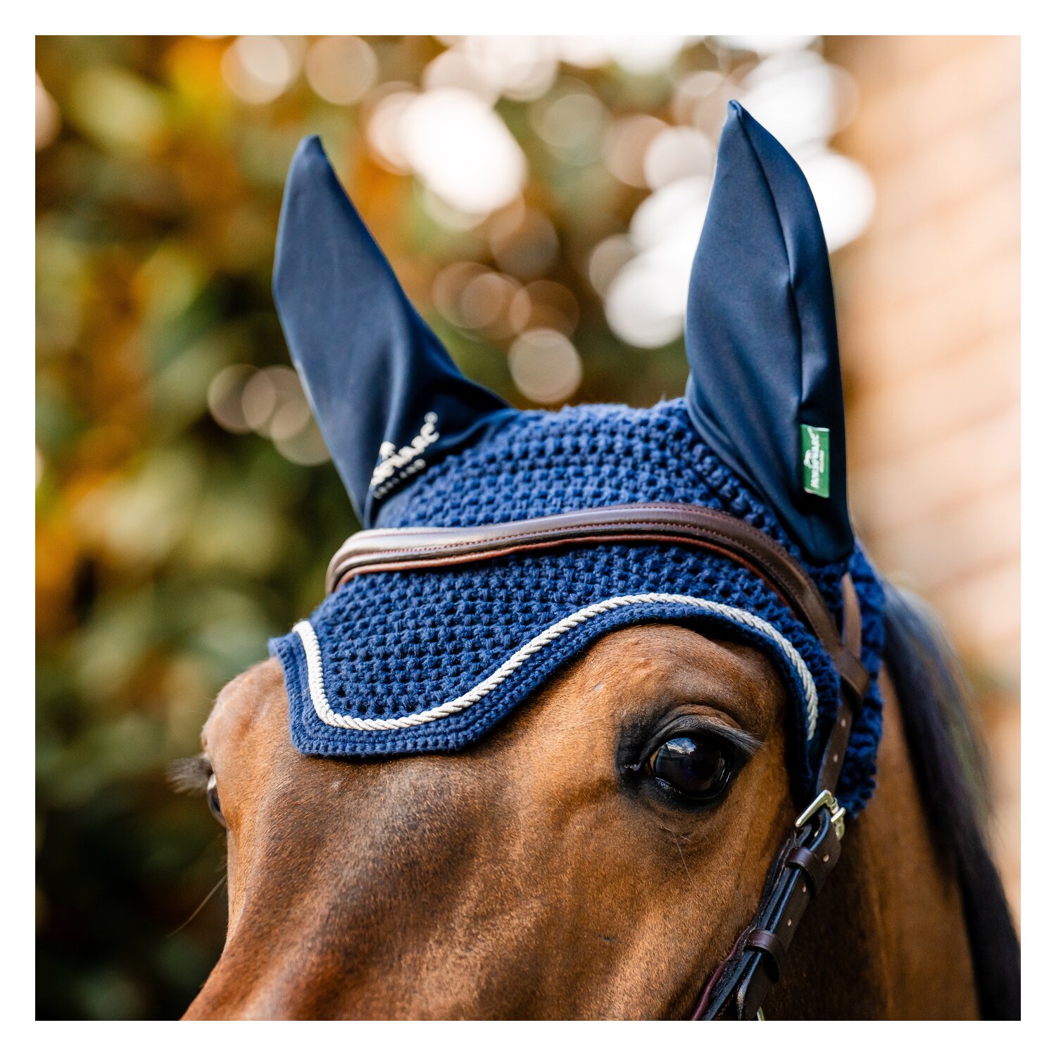 HORSEWARE Signature Fliegenohren  - navy - VB/WB