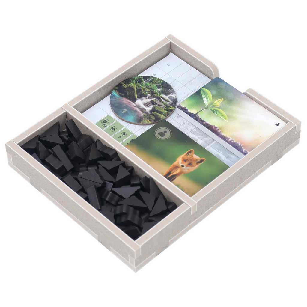 Rangement pour Boîte Folded Space - Earth