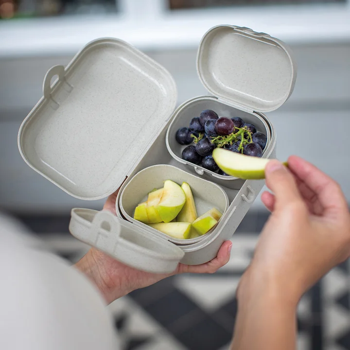 Koziol - Pascal Ready Mini Lunchbox-Set, nature leaf green