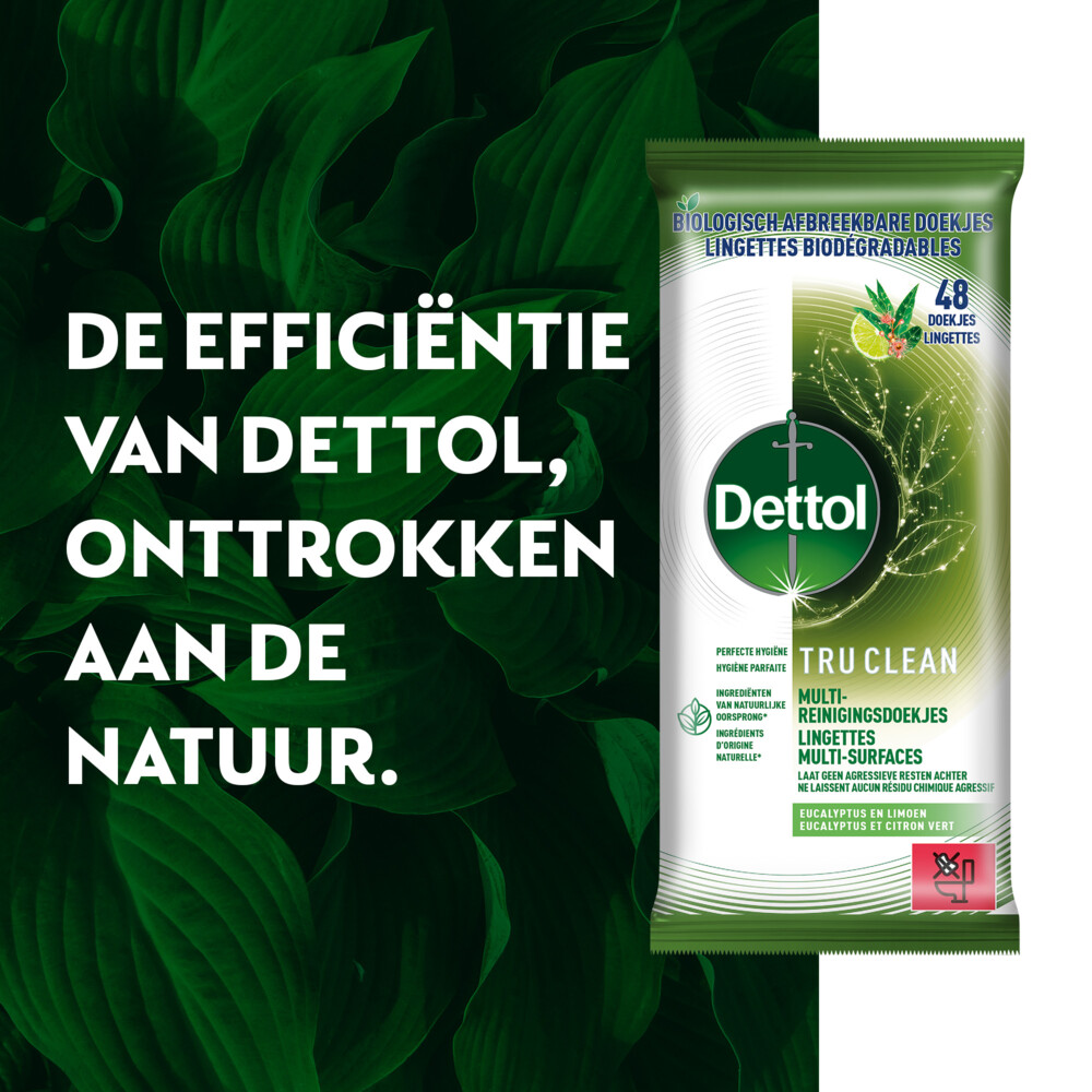 Dettol Reinigingsdoekjes Tru Clean Eucalyptus & Lime48 stuks