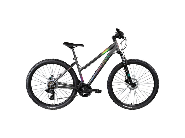 Mountainbike Exalta 3.1