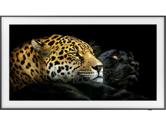 SAMSUNG - TV QLED 4K 108 cm QE43LS03A