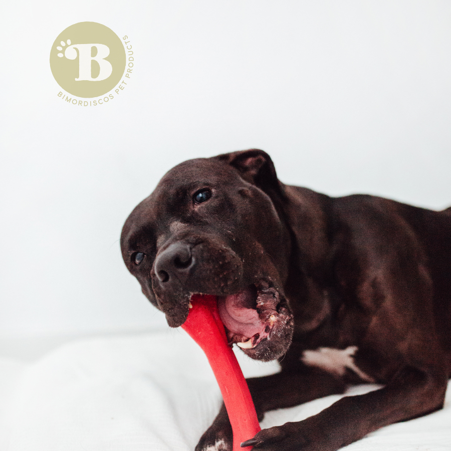 Osso elástico BIMORDISCOS para cães