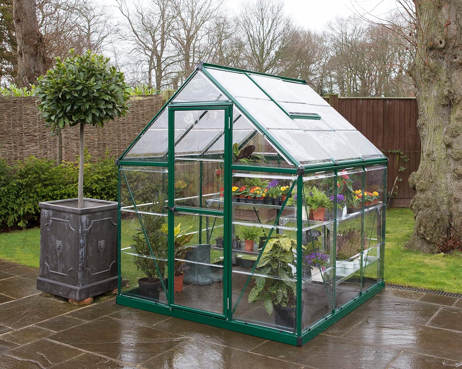 Canopia by Palram Gewächshaus klein Harmony 6x6 Treibhaus185x186 cm Aluminium Grün Tomatenhaus Polycarbonatplatten UV-beständig