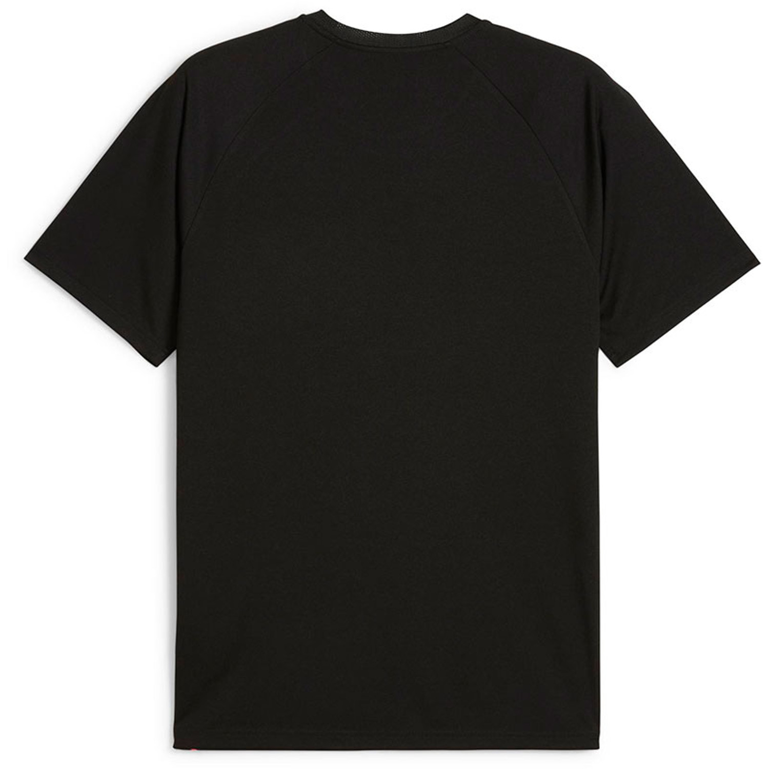 Puma LIGA Trainingsset